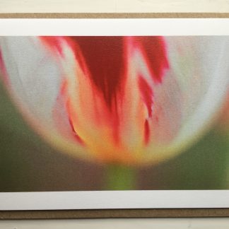 happy generation tulip card