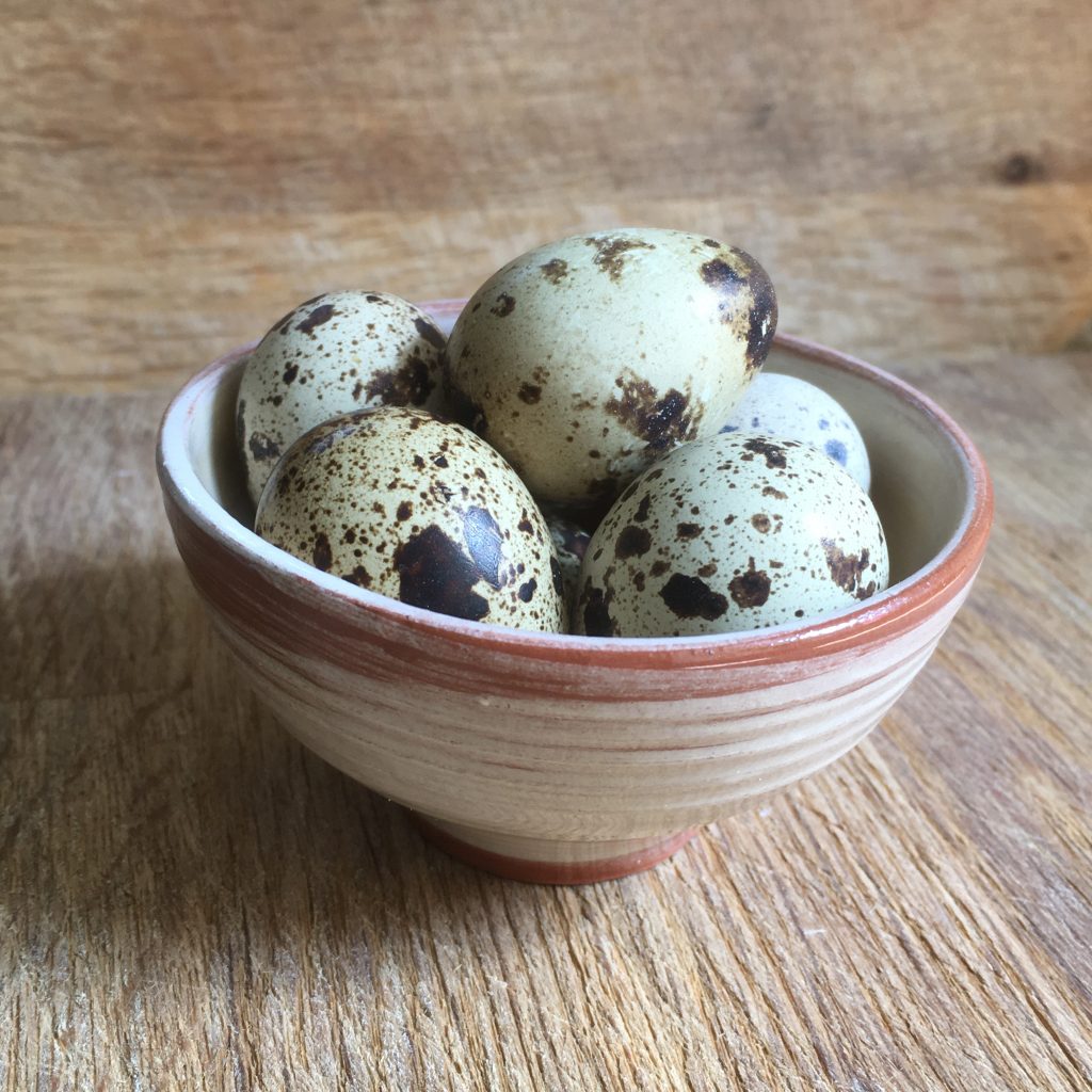 Bowl with quail eggs