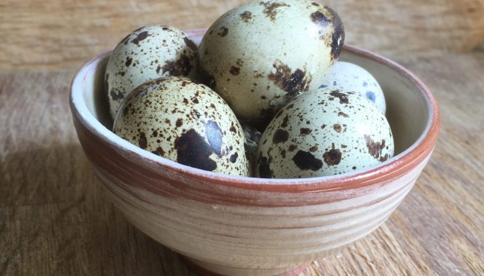 bowl with quail eggs